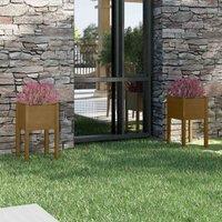 vidaXL Garden Planters 2 pcs Honey Brown 40x40x70 cm, Brown