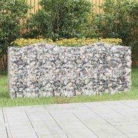 vidaXL Arched Gabion Raised Bed 200x50x100 cm, Silver
