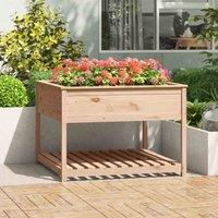 vidaXL Planter with Shelf 111.5x111.5x81 cm Solid Wood Pine, Brown