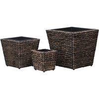 vidaXL Garden Raised Beds 3 pcs Water Hyacinth Brown, Brown