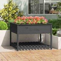 vidaXL Planter with Shelf Grey 111.5x111.5x81 cm, Grey