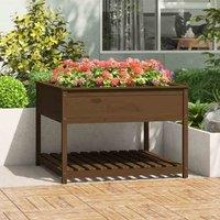 vidaXL Planter with Shelf Honey Brown 111.5x111.5x81 cm, Brown