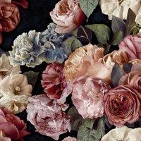 Grandeco Paul Moneypenny Gabrielle Maximalist Red Floral On Black Wallpaper 10m x 53cm For Grandeco, Red