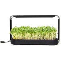 GardenSkill Indoor Hydroponics Growing System, Black