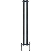 Monster Shop Traditional 2 Column Radiator - 1800 X 202Mm - Anthracite Grey, Grey