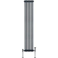Monster Shop Traditional 2 Column Radiator 1800 X 292Mm Anthracite Grey, Grey
