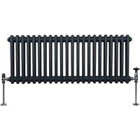 Monster Shop Traditional 2 Column Radiator 300 X 1012Mm Anthracite Grey, Grey