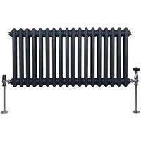 Monster Shop Traditional 2 Column Radiator 300 X 832Mm Anthracite Grey, Grey