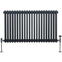 Monster Shop Traditional 2 Column Radiator 600 X 1012Mm Anthracite Grey, Grey
