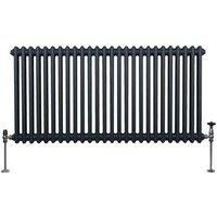 Monster Shop Traditional 2 Column Radiator 600 X 1192Mm Anthracite Grey, Grey