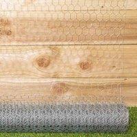 Samuel Alexander 10m x 90cm x 25mm Galvanised Steel Chicken Garden Wire Netting / Fencing, Silver