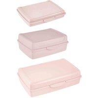Keeeper Set Of 3 Clip Lock Fresh Food Container - Pink, Pink