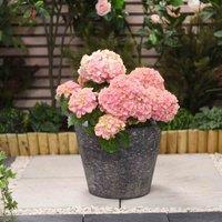 Garden Gear Stone Effect Grey 36.5Cm Planter, Grey