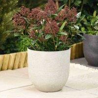 Garden Gear Stone Effect Cool Grey Planter 26Cm, Grey