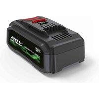 Webb 20V 4Ah Battery compatible With All Webb 20V Machinery , Green