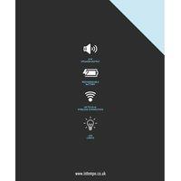 Intempo Karaoke Speaker With Mic & Stand, Black