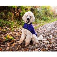 Henry Wag Quilted Dog Jacket Purple Small 40cm, Purple