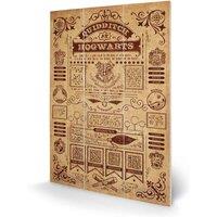 Pyramid International Harry Potter quidditch At Hogwarts , Multi