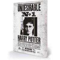 Pyramid International Harry Potter undesirable No1 Micro Wood, Multi
