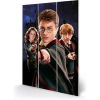 Pyramid International Harry Potter harry Ron Hermione Micro Wood, Multi