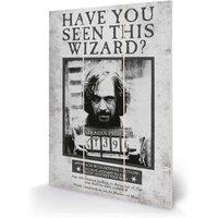 Pyramid International Harry Potter sirius Wanted Micro Wood, Multi