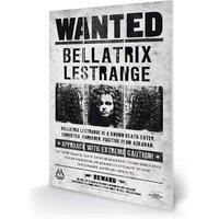 Pyramid International Harry Potter bellatrix Wanted Micro Wood, Multi