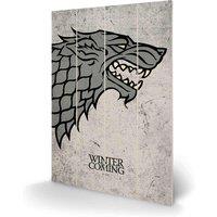 Pyramid International Game Of Thrones stark , Multi