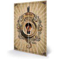 Pyramid International Fantastic Beasts muggle Worthy Small Wood, Multi