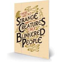 Pyramid International Fantastic Beasts The Crimes Of Grindelwald no Strange Creatures , Multi