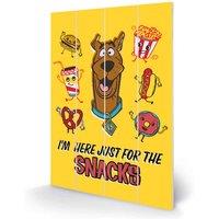 Pyramid International Scooby Doo snacks Small Wood, Multi