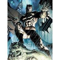 Batman prowl 30X40Cm X 1.8Cm, Multi