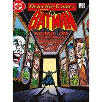 Batman rogue s Gallery 30X40, Multi