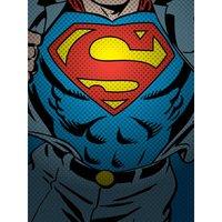 DC Classics Dc Comics superman Torso - 30 X 40Cm, Multi