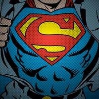 Dc Comics superman Torso - 40 X 40Cm, Multi