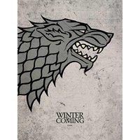 Game Of Thrones stark - 30 X 40Cm, Multi