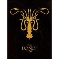 Game Of Thrones greyjoy - 30 X 40Cm, Multi