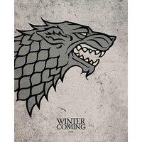 Game Of Thrones stark - 40 X 50Cm, Multi