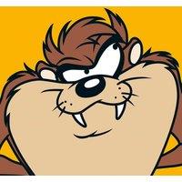 Looney Tunes taz - 40 X 40Cm, Multi