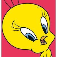 Looney Tunes tweety - 40 X 40Cm, Multi