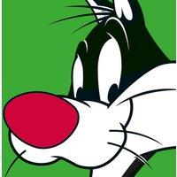 Looney Tunes sylvester - 40 X 40Cm, Multi