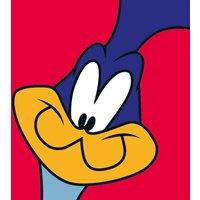 Looney Tunes road Runner - 40 X 40Cm, Multi