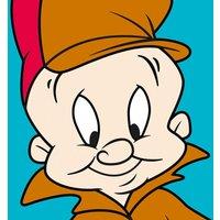 Looney Tunes elmer Fudd - 40 X 40Cm, Multi