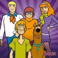 Scooby Doo team 40X40, Multi