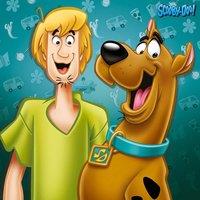 Scooby Doo shaggy & Scooby 40X40, Multi