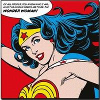 Wonder Woman quote - 40 X 40Cm, Multi