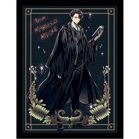 Harry Potter Wizard Dynasty tom Marvolo Riddle Collector Print framed , Multi