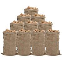 Vidaxl Jute Sacks 10 Pcs 65X135 Cm 100 Jute 340 Gsm, Brown