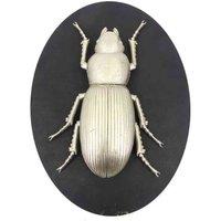 Minster Stylish Living Msl 33Cm Insect Wall Decor On Wood Board, Silver