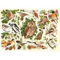 The House Of Puzzles Woodland Birds Big 500 Piece Jigsaw Puzzle, Multi