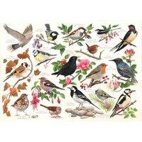 The House Of Puzzles Birds In My Garden 1000 Piece Jigsaw Puzzle, Multi